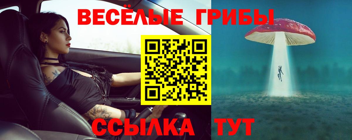 Галлюциногенные грибы мухоморы  Вход с VPN  Нефтекамск 